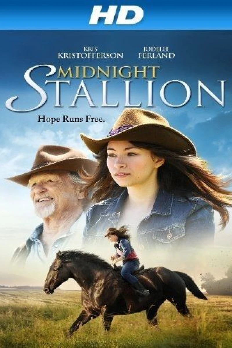 Midnight Stallion Poster