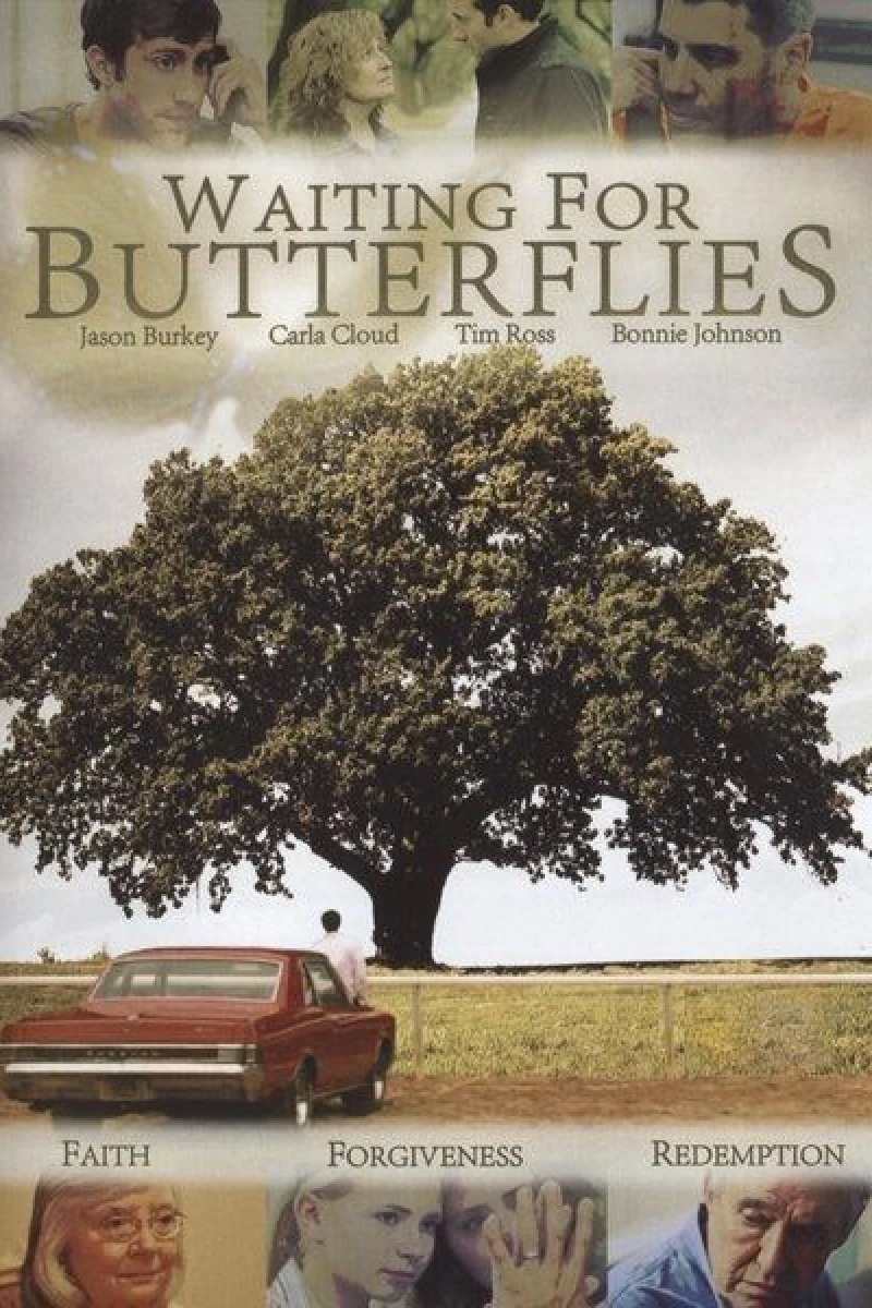 Waiting for Butterflies Poster