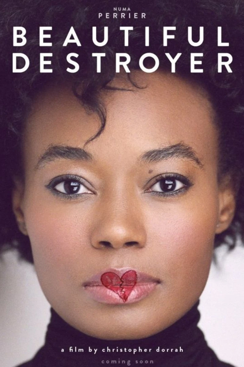 Beautiful Destroyer Poster