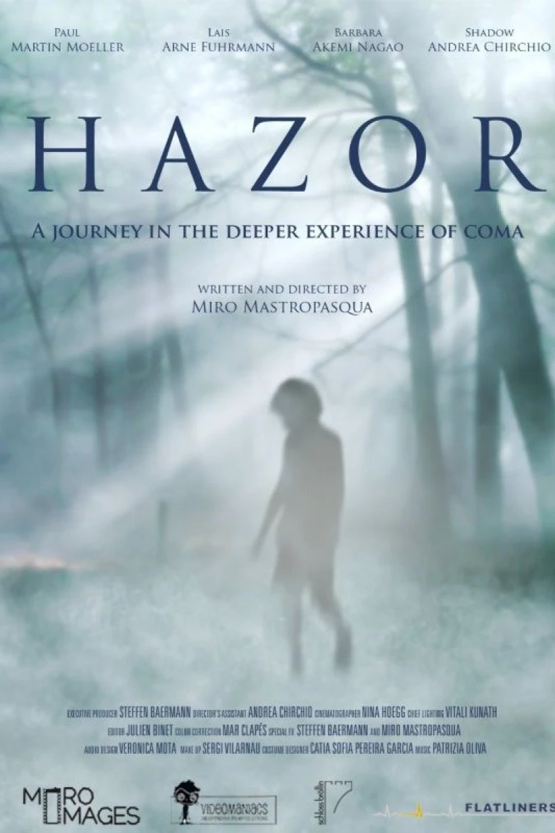 Hazor Poster