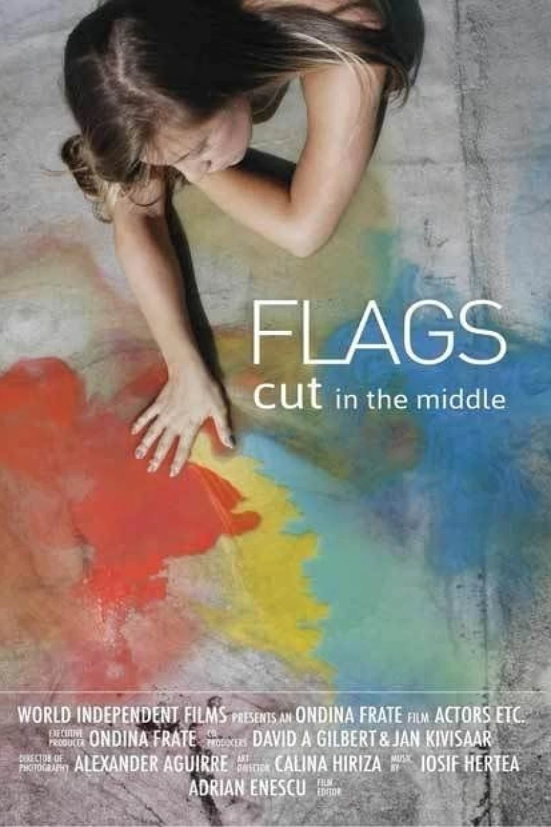 Flags Cut in the Middle Poster