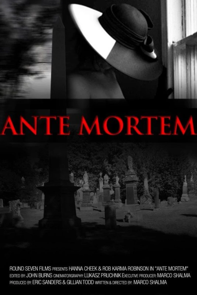 Ante Mortem Poster