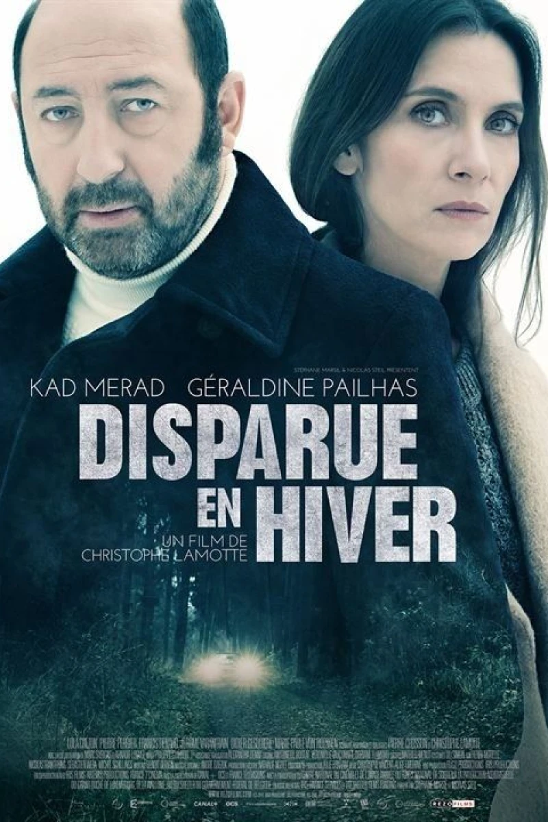 Disparue en hiver Poster