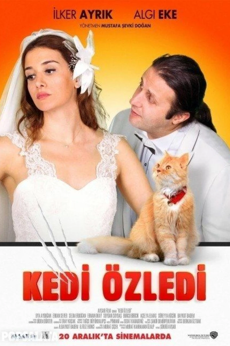 Kedi Özledi Poster